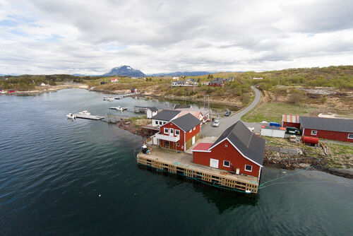 Blomsø Fiskeferie - Stedet for  torsk- og kveitefiske i Nordland!