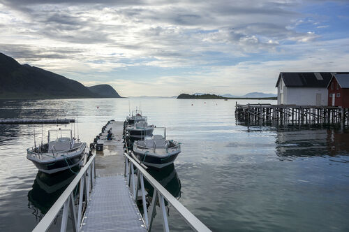 Loppa Havfiske - Perfect place for sea fishing on the coast of Finnmark