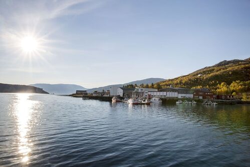 Vengsøy Sjøfiske - Fantastische Fischerei außerhalb von Kvaløya