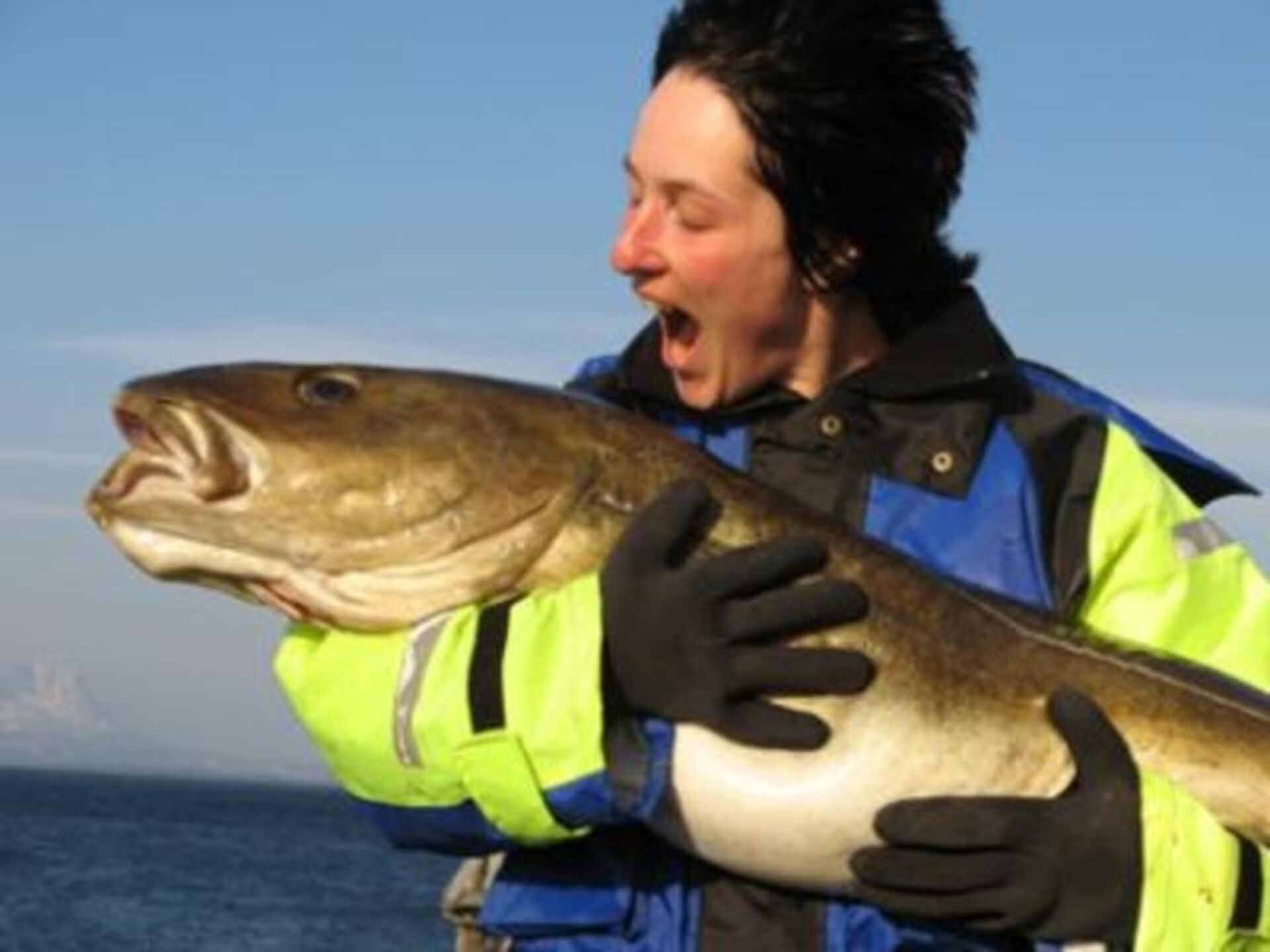 Cod fishing
