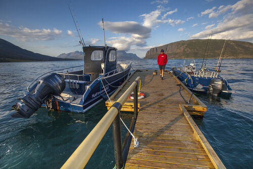 Rotsund Seafishing - Føsteklasses sjøfiske i fantastisk natur