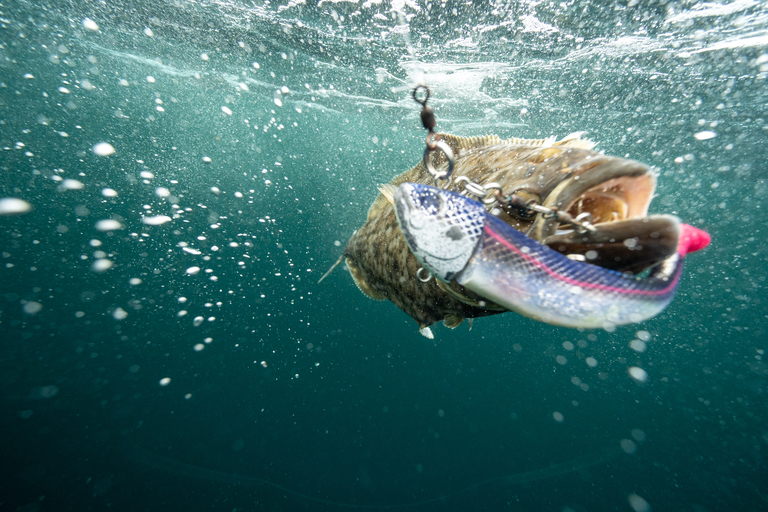 Feriehus - Fiskereiser i Nord-Norge