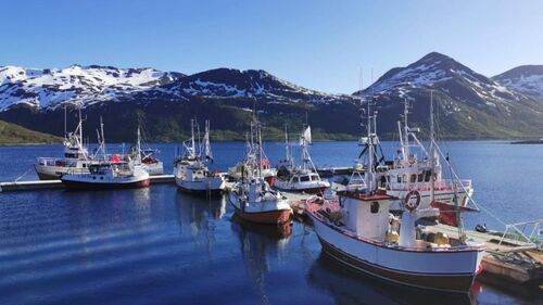 Waterfront Senja - Modern well equipped apartments with very good fishing opportunities outside Senja