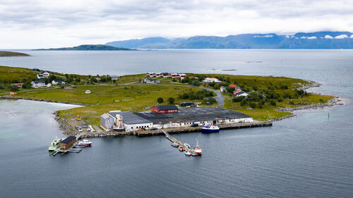 Kristoffervalen sjøfiske - 