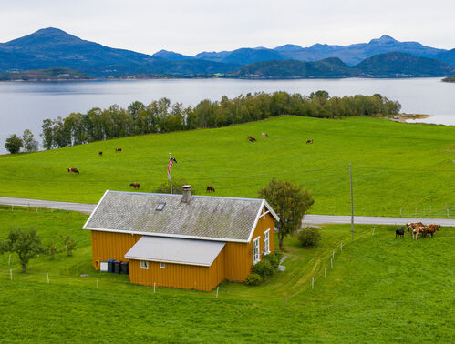 Røttingsnesskolen - Norway fishing & hiking holiday!