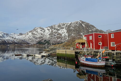 Mølnarodden Lofoten - Unterkunft im Herzen der Lofoten!