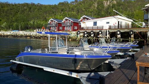 Amberfish - Amberfisch ein Toprevier auf der Insel Kvaløya, Tromsø