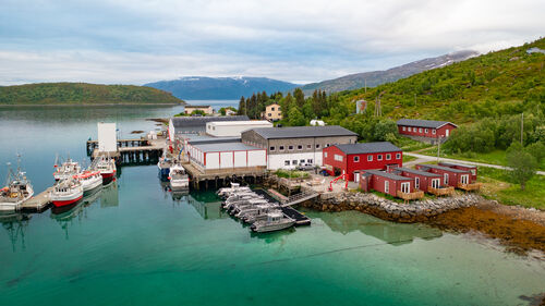 Vengsøy Sjøfiske - Fantastisk sjøfiske utenfor Kvaløya