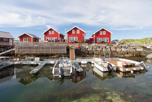 Vega Kystferie - Superb halibut fishing in Vega Archipelago!