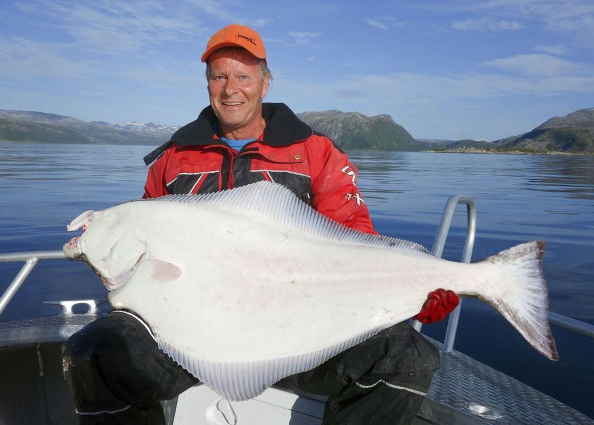 Halibut