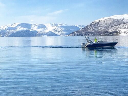 Korsfjorden - Excellent sea fishing at Korsfjorden