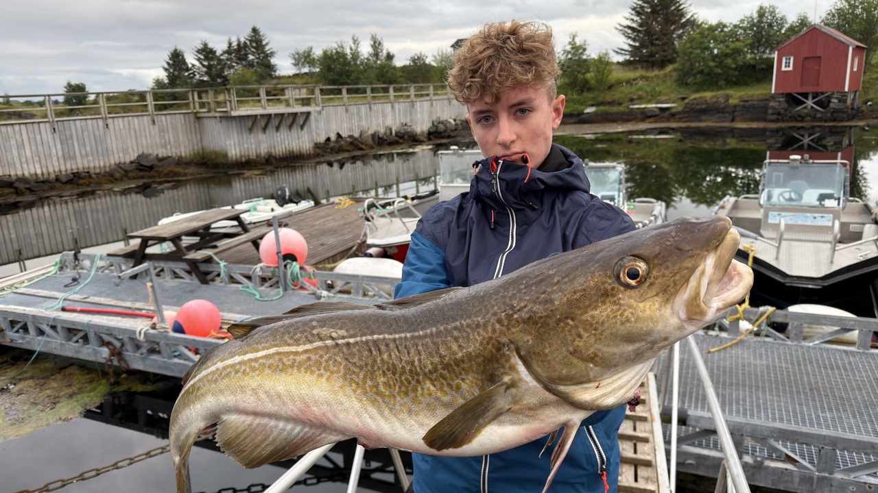 Cod