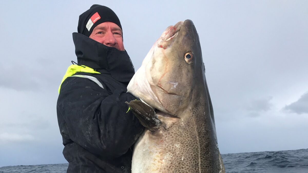 Skrei Blogg