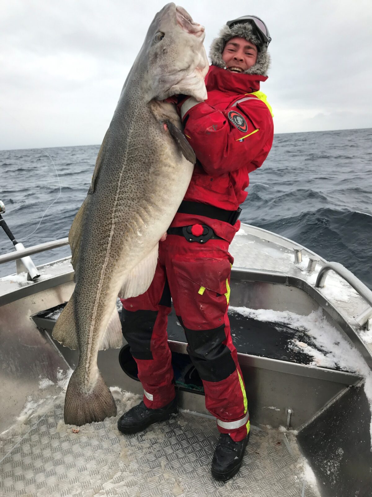 Skrei