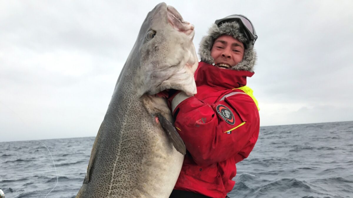 M med skrei