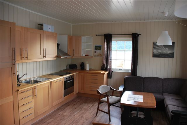 /pictures/aldebryg/BO/Aldersund-apartment-kitchen-living.JPG
