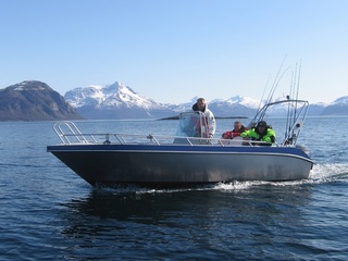 Larseng boat 4 - 19ft/50 hp e/g/c/GF